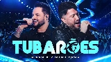 Video thumbnail Tubarões - Ao Vivo
