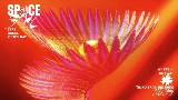 Video thumbnail Space