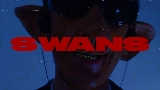 Video thumbnail Swans