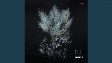 Video thumbnail Uniflora