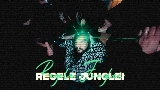 Video thumbnail Regele Junglei