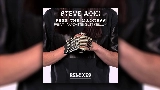 Video thumbnail Free The Madness - Steve Aoki & Max Styler Remix