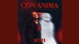 Video thumbnail con Anima