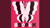 Video thumbnail 8500km