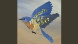 Video thumbnail Mississippi River Bluebird