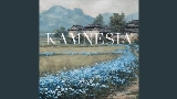 Video thumbnail KAMNESIA