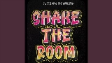 Video thumbnail Shake The Room