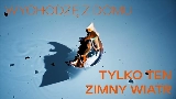 Video thumbnail tofu