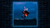 Video thumbnail Flowers & Guns