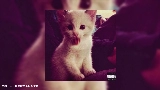 Video thumbnail янпс