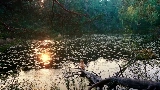 Video thumbnail Mother's Love Conquers All