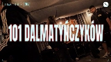 Video thumbnail 101 DALMATYŃCZYKÓW