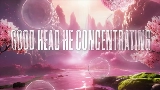 Video thumbnail Was Hannin (feat. Wiz Khalifa)