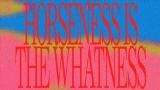 Video thumbnail Horseness Is The Whatness