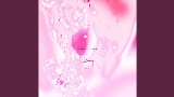Video thumbnail DON'T CRY