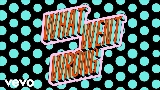 Video thumbnail What Went Wrong