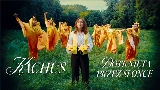 Video thumbnail Dotknięta przez słońce