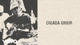 Video thumbnail Cicada Choir