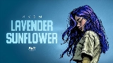 Video thumbnail Lavender Sunflower