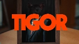 Video thumbnail TIGOR