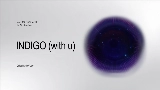Video thumbnail INDIGO (with u)