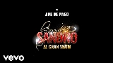 Video thumbnail Ave de Paso
