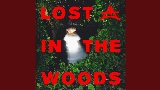Video thumbnail Lost In The Woods
