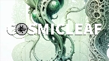 Video thumbnail Nativedub