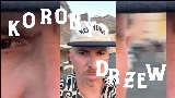 Video thumbnail Korony drzew