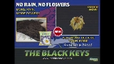 Video thumbnail No Rain, No Flowers