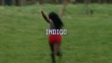 Video thumbnail Indigo