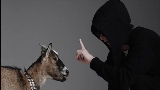 Video thumbnail 100 Tysięcy