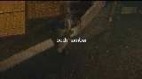 Video thumbnail 水平線