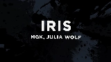 Video thumbnail iris