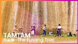 Video thumbnail 扶桑樹 - The Fusang Tree