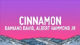 Video thumbnail Cinnamon (feat. Albert Hammond Jr)