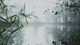 Video thumbnail reverie