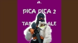 Video thumbnail DJ Pica Pica 2 X Tabola Bale