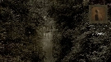 Video thumbnail Nettles