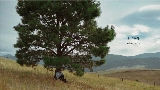 Video thumbnail Daylight